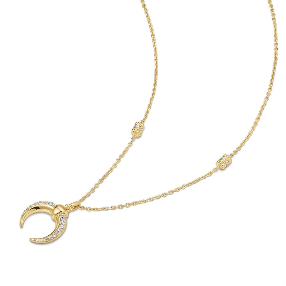 Tide Echo Gold Reversible Horn Necklace