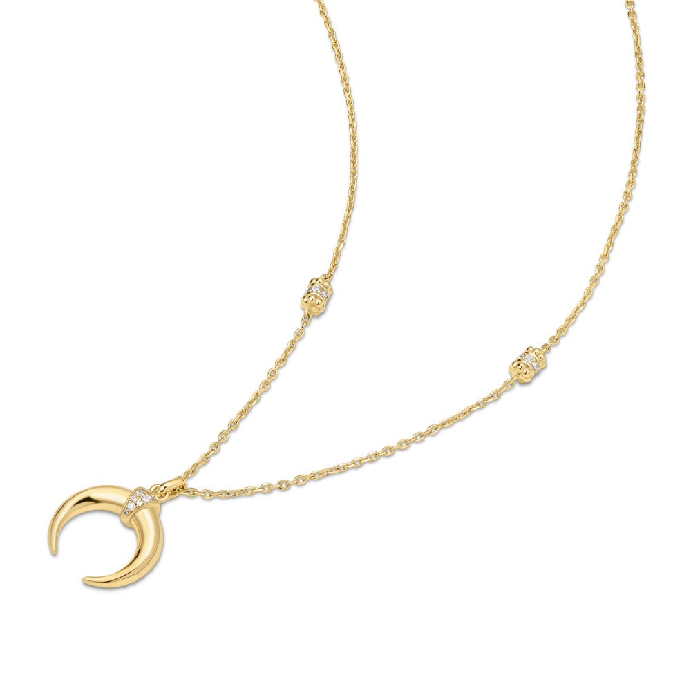 Tide Echo Gold Reversible Horn Necklace