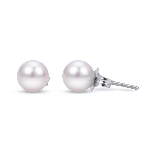 14k White Gold 5mm "A" Akoya Pearl Stud Earrings