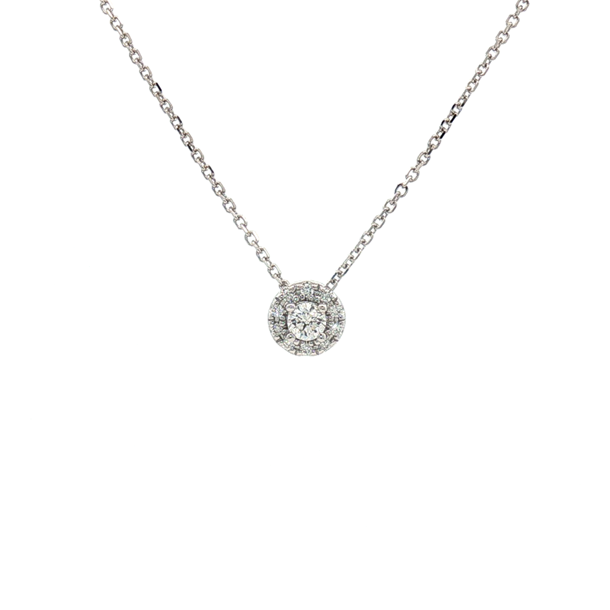 "Iris" White Gold